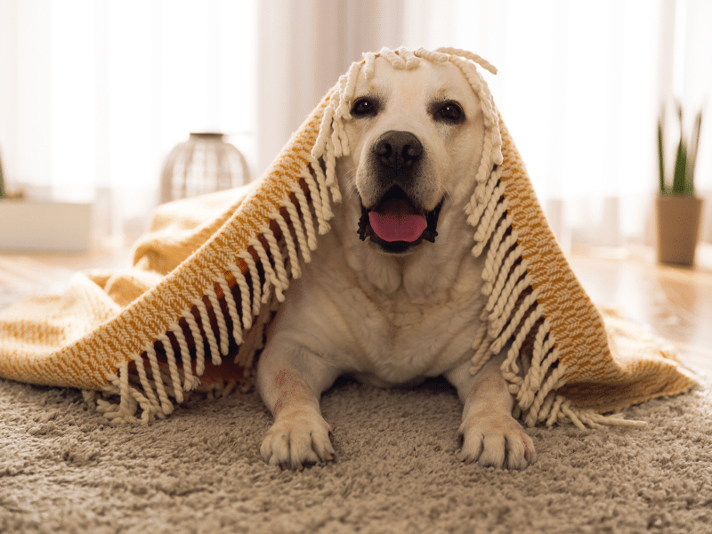 how can ventilation maintain a warm home in winter