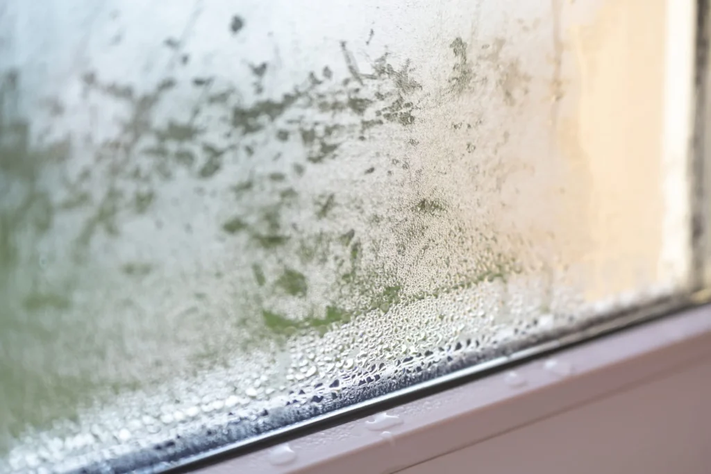 Moisture buildup window due humidity